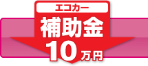 �G�R�J�[�⏕��10���~