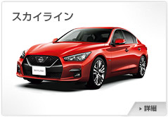 �X�J�C���C��