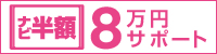 �i�r���z 8���~�T�|�[�g
