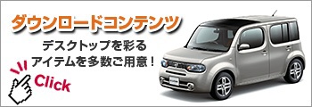 ダウンロードコンテンツ