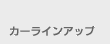 �J�[���C���A�b�v