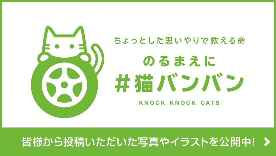 ちょっとした思いやりで救える命 のるまえに#猫バンバン KNOCK KNOCK CATS 「皆さまから投稿いただいた写真やイラストを公開中!」