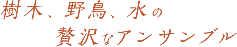 樹木、野鳥、水の贅沢なアンサンブル