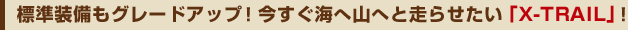WO[hAbvIC֎R֑点uX-TRAILv