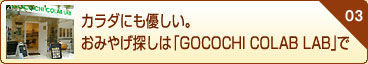 03@J_ɂDB݂₰T́uGOCOCHI COLAB LABv