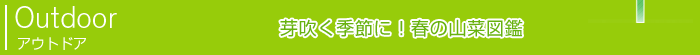 Outdoor 萁G߂ɁIt̎Rؐ}