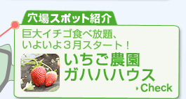 C`SHוA悢3X^[gI_KnnnEX