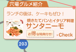 `̌́AP[LЁIĂăpƃC^AT^j[