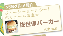 OЉ@W[V[wV[I{[_ۃo[K[