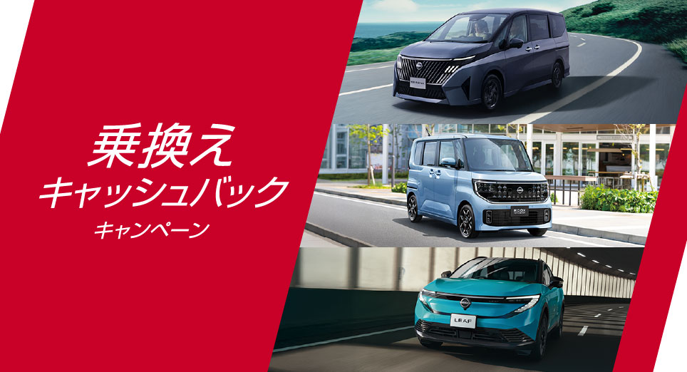 キャンペーン