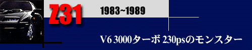 Z31�o�i�[