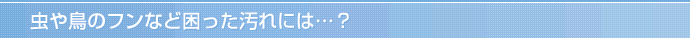 虫や鳥のフンなど困った汚れには…？