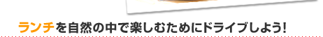 ランチを自然の中で楽しむためにドライブしよう！