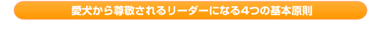 愛犬から尊敬されるリーダーになる4つの基本原則