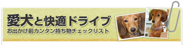 愛犬と快適ドライブ　お出かけ前カンタン持ち物チェックリスト