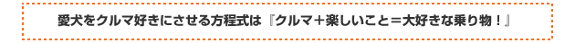 愛犬をクルマ好きにさせる方程式は『クルマ＋楽しいこと＝大好きな乗り物！』