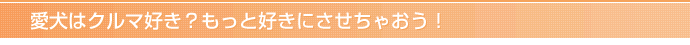 愛犬はクルマ好き？もっと好きにさせちゃおう！