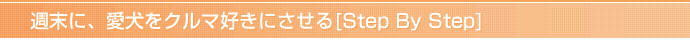 週末に、愛犬をクルマ好きにさせる[Step By Step]