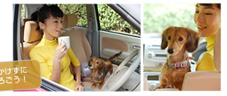 エンジンをかけずに車内でくつろごう！