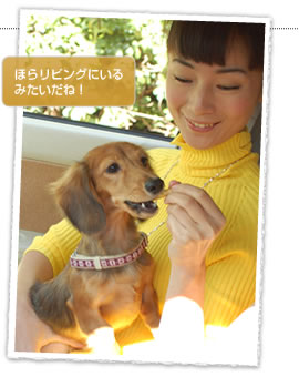 ほらリビングにいるみたいだね！