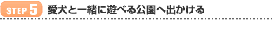 【STEP 5】愛犬と一緒に遊べる公園へ出かける