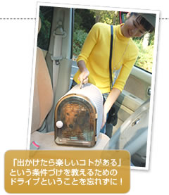 「出かけたら楽しいコトがある」という条件づけを教えるためのドライブということを忘れずに！