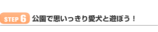 【STEP 6】公園で思いっきり愛犬と遊ぼう！