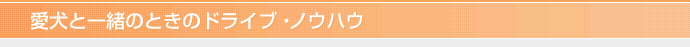 愛犬と一緒のときのドライブ・ノウハウ