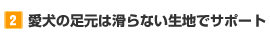 【2】愛犬の足元は滑らない生地でサポート
