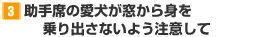 【3】助手席の愛犬が窓から身を乗り出さないよう注意して