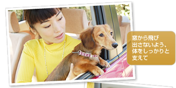 窓から飛び出さないよう、体をしっかりと支えて