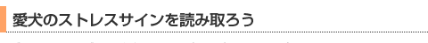 愛犬のストレスサインを読み取ろう