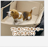 フレキシブルキャリー（ワイドタイプ）