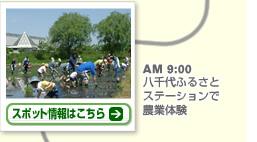 AM 9:00　八千代ふるさとステーションで農業体験 スポット情報はこちら