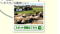 AM 11:00 マザー牧場でジンギスカン＆動物ショー　スポット情報はこちら