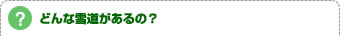 【？】どんな雪道があるの？