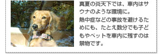 真夏の炎天下では、車内はサウナのような環境に。熱中症などの事故を避けるためにも、たとえ数分でも子どもやペットを車内に残すのは禁物です。
