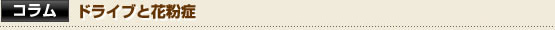 【コラム】ドライブと花粉症