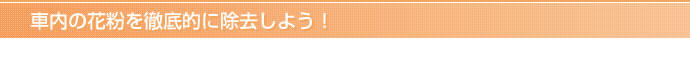 車内の花粉を徹底的に除去しよう！