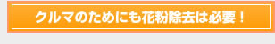 クルマのためにも花粉除去は必要！