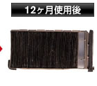 12ヶ月使用後
