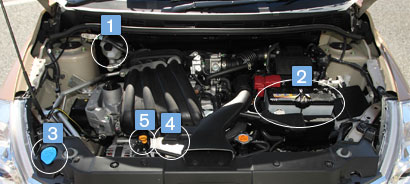 エンジンルームで5種の液量をチェック！