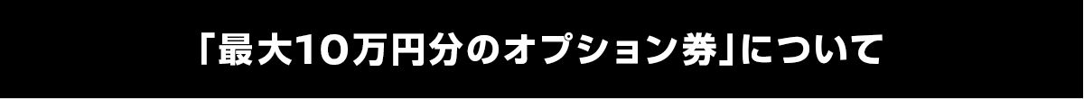 「最大10万円分のオプション券」について
