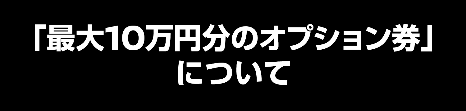 「最大10万円分のオプション券」について