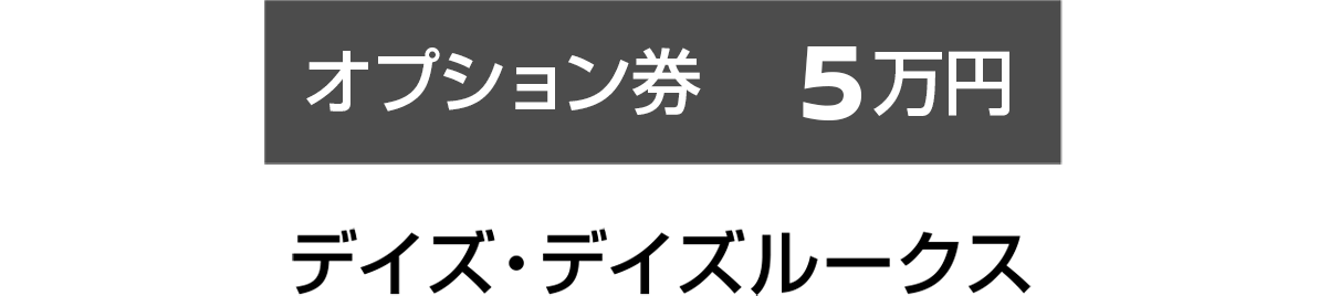 オプション券5万円：デイズ・デイズルークス