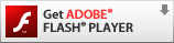 ADOBE FLASH PLAYER_E[h