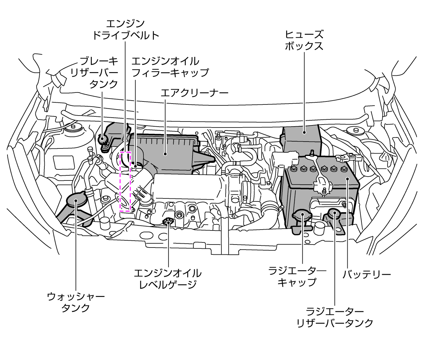 車 エンジンオイル 場所 Kuruma