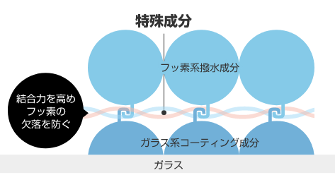 究極の撥水を12ヶ月間維持します！