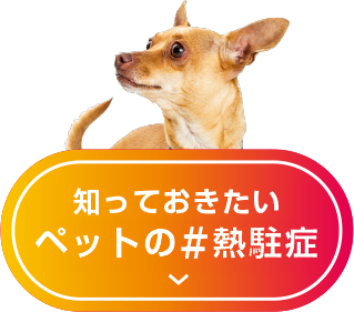 知っておきたいペットの熱駐症