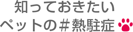 知っておきたいペットの＃熱駐症